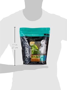 Amazon | ラウディブッシュ デイリーメンテナンス(スモール